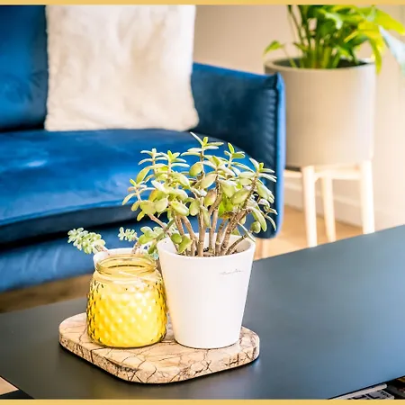 Apartment Luxe I T4 I
